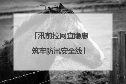 汛前拉网查隐患 筑牢防汛安全线