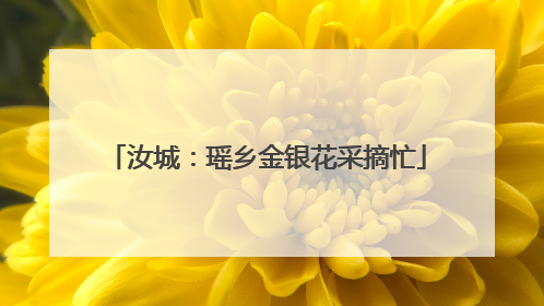 汝城：瑶乡金银花采摘忙