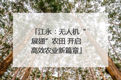 江永：无人机“展翅”农田 开启高效农业新篇章