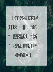 江苏如东经开区：惟“新”图强以“新”提质推进产业强区