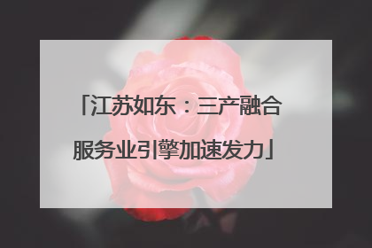 江苏如东：三产融合 服务业引擎加速发力