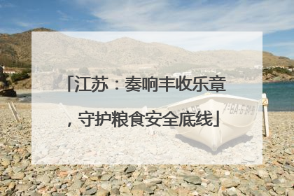 江苏：奏响丰收乐章，守护粮食安全底线