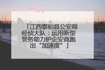 江西泰和县公安局经侦大队：运用新型警务助力护企安商跑出“加速度”