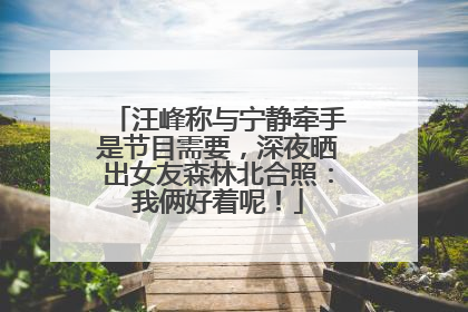 汪峰称与宁静牵手是节目需要，深夜晒出女友森林北合照：我俩好着呢！