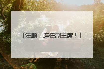 汪顺，连任副主席！