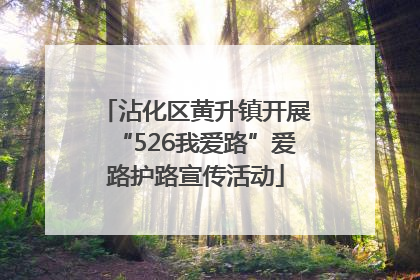 沾化区黄升镇开展“526我爱路”爱路护路宣传活动