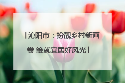 沁阳市：扮靓乡村新画卷 绘就宜居好风光