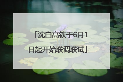 沈白高铁于6月1日起开始联调联试