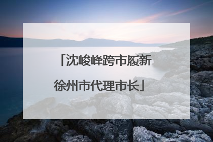 沈峻峰跨市履新徐州市代理市长