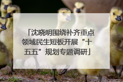 沈晓明围绕补齐重点领域民生短板开展“十五五”规划专题调研