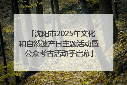 沈阳市2025年文化和自然遗产日主题活动暨公众考古活动季启幕