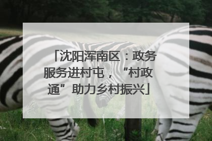 沈阳浑南区：政务服务进村屯，“村政通”助力乡村振兴