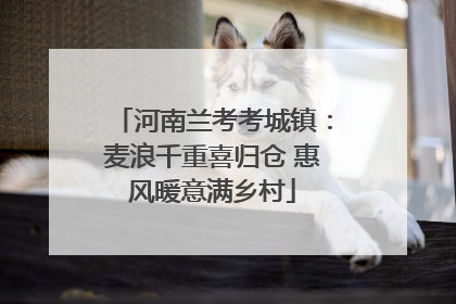 河南兰考考城镇：麦浪千重喜归仓 惠风暖意满乡村