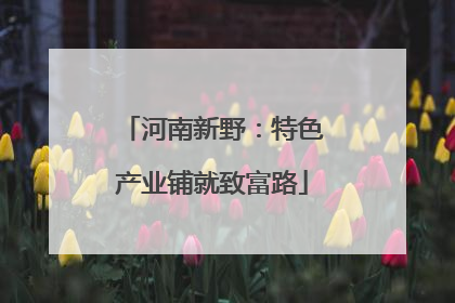 河南新野：特色产业铺就致富路