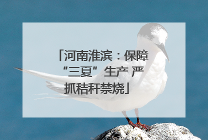 河南淮滨：保障“三夏”生产 严抓秸秆禁烧