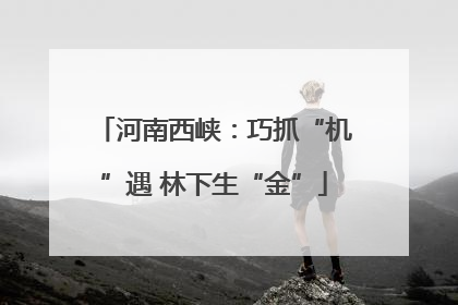 河南西峡：巧抓“机”遇 林下生“金”