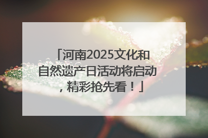 河南2025文化和自然遗产日活动将启动，精彩抢先看！