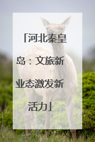 河北秦皇岛：文旅新业态激发新活力