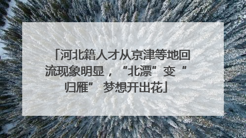 河北籍人才从京津等地回流现象明显，“北漂”变“归雁” 梦想开出花