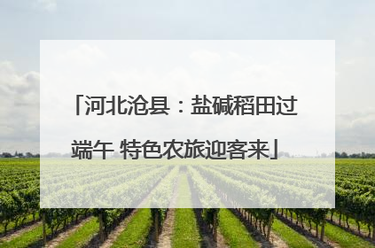 河北沧县：盐碱稻田过端午 特色农旅迎客来