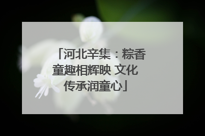 河北辛集：粽香童趣相辉映 文化传承润童心