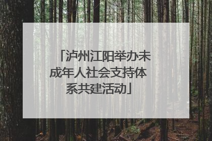 泸州江阳举办未成年人社会支持体系共建活动