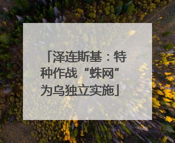 泽连斯基：特种作战“蛛网”为乌独立实施
