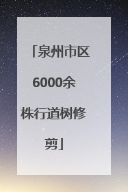 泉州市区6000余株行道树修剪
