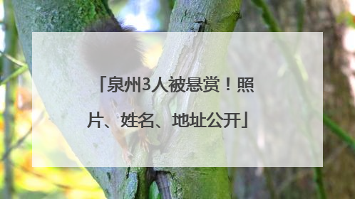 泉州3人被悬赏！照片、姓名、地址公开