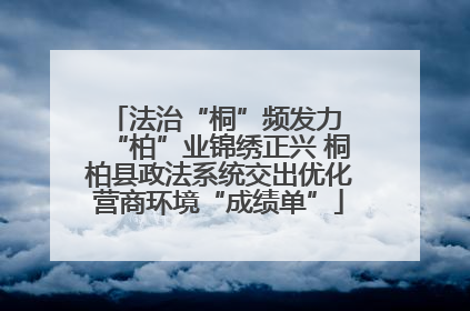 法治“桐”频发力 “柏”业锦绣正兴 桐柏县政法系统交出优化营商环境“成绩单”