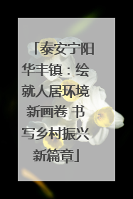 泰安宁阳华丰镇：绘就人居环境新画卷 书写乡村振兴新篇章