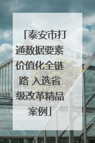 泰安市打通数据要素价值化全链路 入选省级改革精品案例
