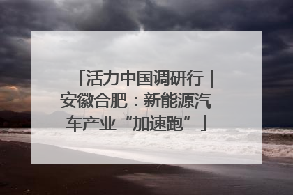 活力中国调研行｜安徽合肥：新能源汽车产业“加速跑”