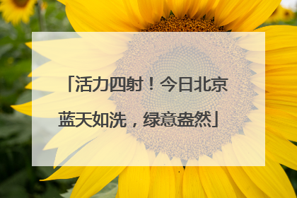 活力四射！今日北京蓝天如洗，绿意盎然