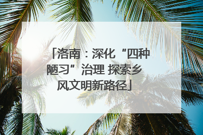 洛南：深化“四种陋习”治理 探索乡风文明新路径