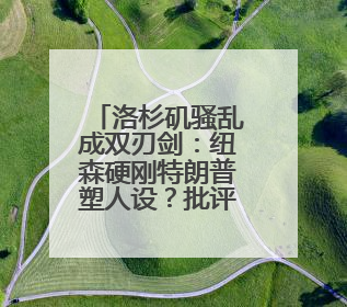 洛杉矶骚乱成双刃剑：纽森硬刚特朗普塑人设？批评称一些图片或让他2028总统梦碎