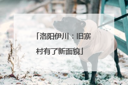 洛阳伊川：旧寨村有了新面貌