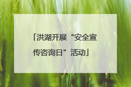洪湖开展“安全宣传咨询日”活动