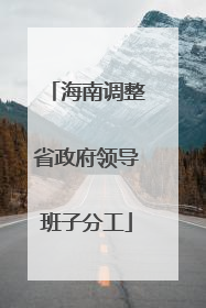 海南调整省政府领导班子分工
