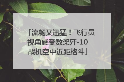 流畅又迅猛！飞行员视角感受数架歼-10战机空中近距格斗