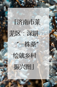 济南市莱芜区：深耕“一株桑” 绘就乡村振兴图