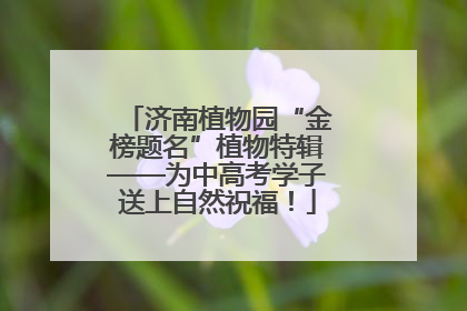 济南植物园“金榜题名”植物特辑——为中高考学子送上自然祝福！