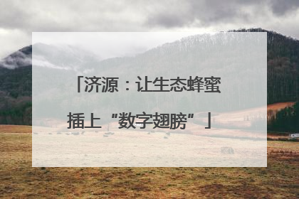 济源：让生态蜂蜜插上“数字翅膀”