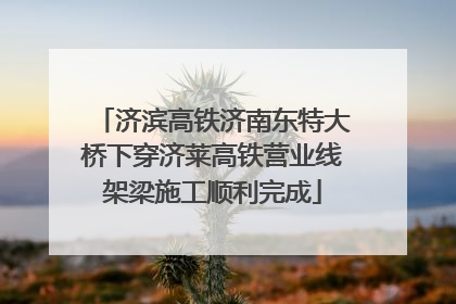 济滨高铁济南东特大桥下穿济莱高铁营业线架梁施工顺利完成