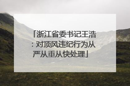 浙江省委书记王浩：对顶风违纪行为从严从重从快处理