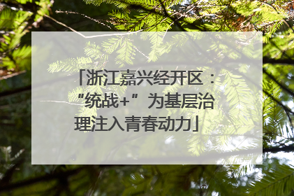 浙江嘉兴经开区：“统战+”为基层治理注入青春动力