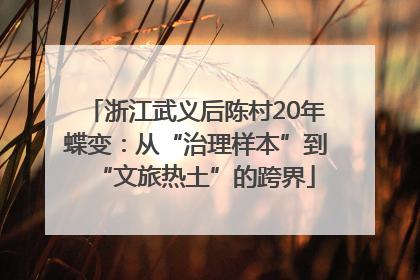 浙江武义后陈村20年蝶变：从“治理样本”到“文旅热土”的跨界