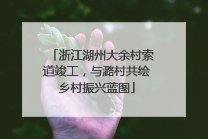 浙江湖州大余村索道竣工，与潞村共绘乡村振兴蓝图