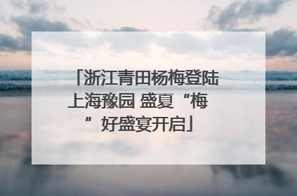 浙江青田杨梅登陆上海豫园 盛夏“梅”好盛宴开启