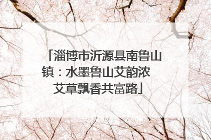 淄博市沂源县南鲁山镇：水墨鲁山艾韵浓 艾草飘香共富路